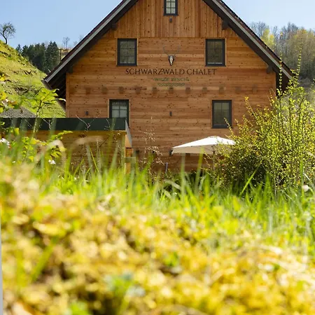 Schwarzwald Chalet -Wilde Rench- Bad Peterstal-Griesbach Exterior photo