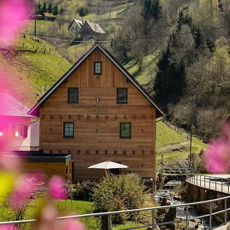 Schwarzwald Chalet -Wilde Rench- Bad Peterstal-Griesbach Exterior photo