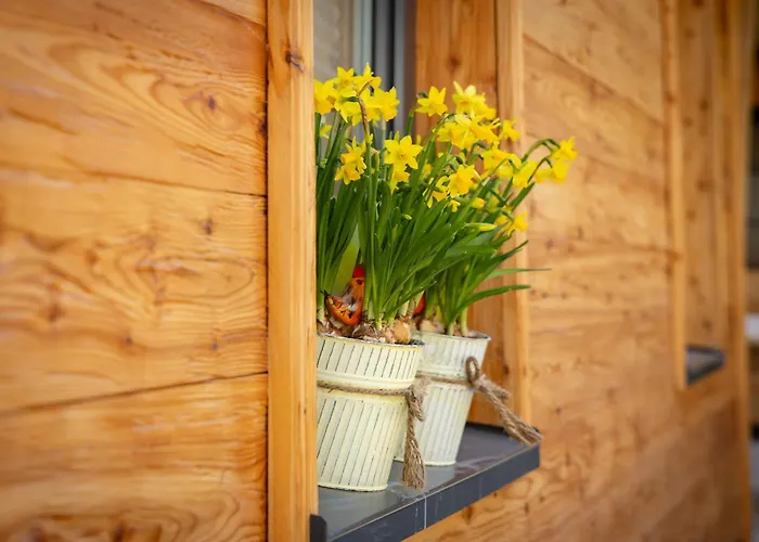 Schwarzwald Chalet -Wilde Rench-