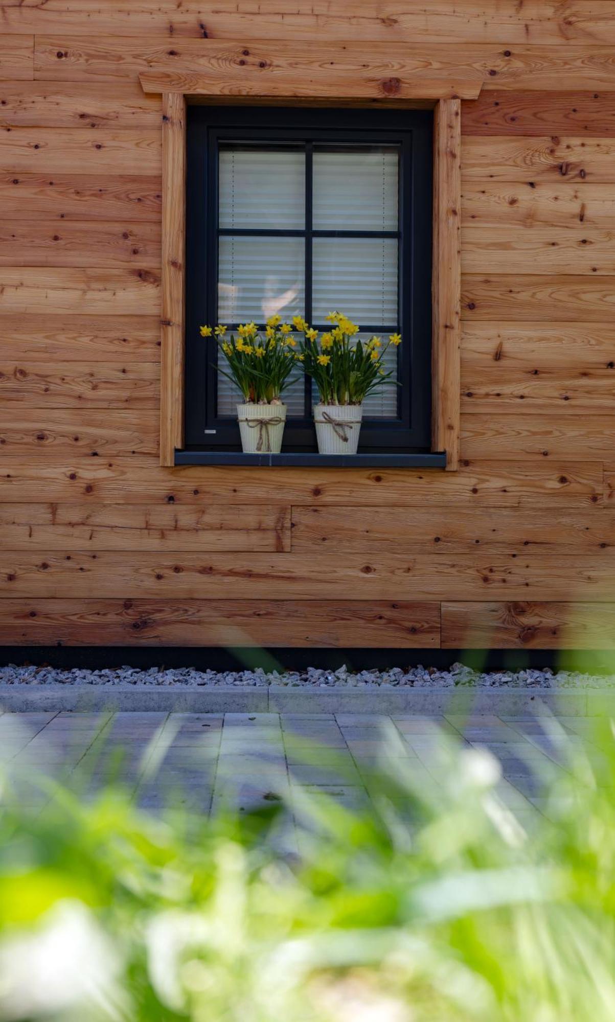 Schwarzwald -wilde Rench-