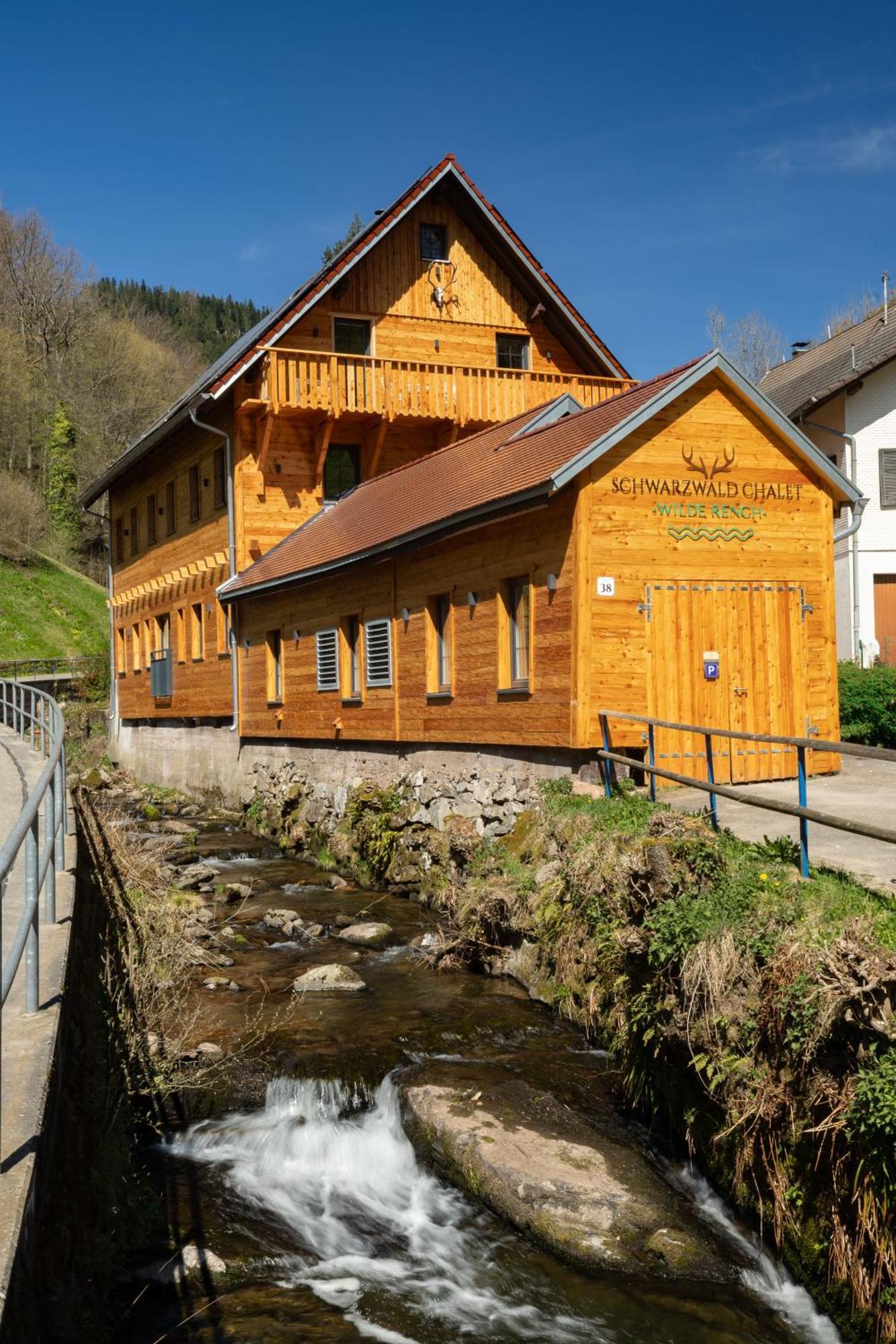 Schwarzwald -wilde Rench- Apartment
