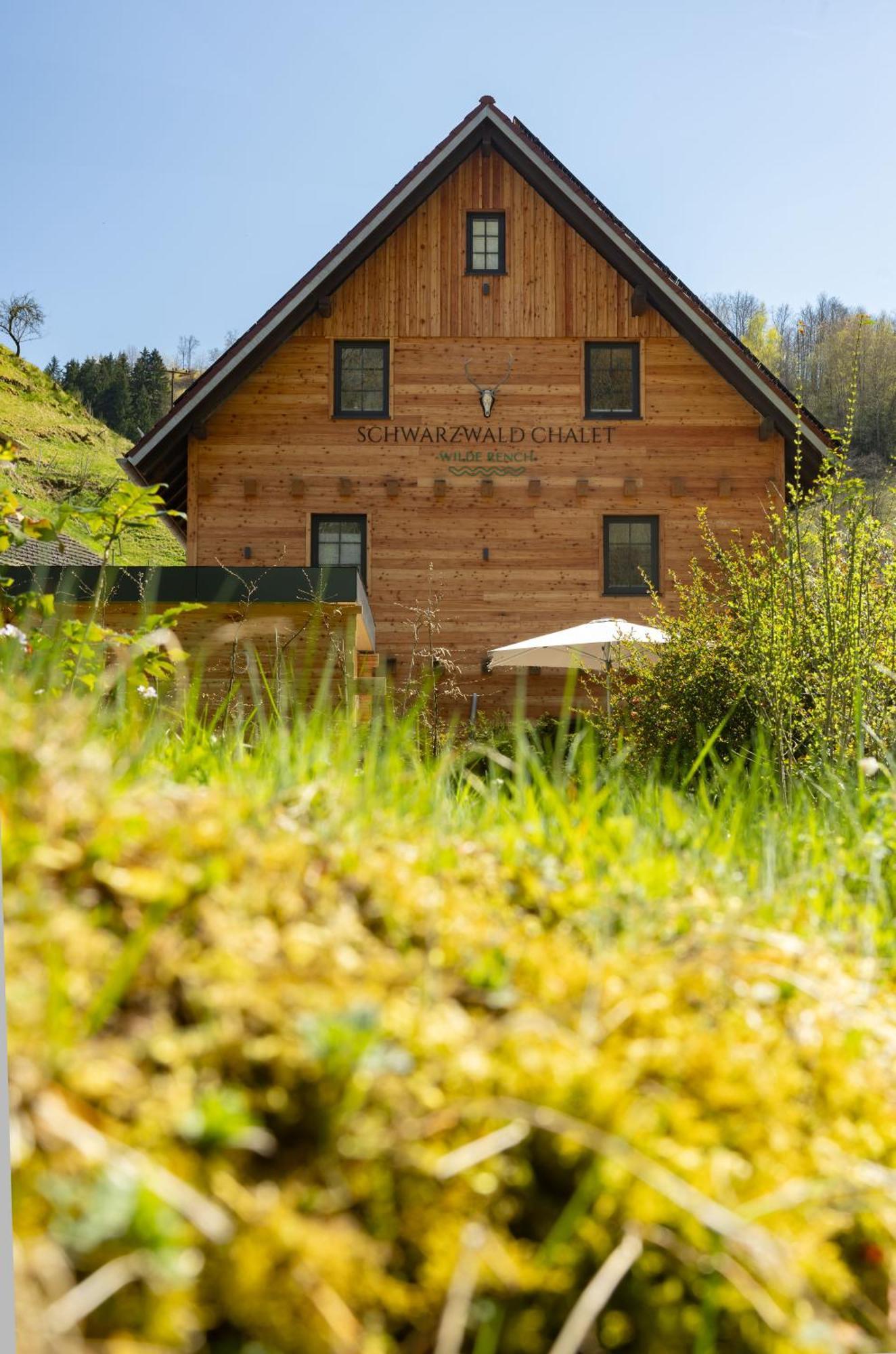 Schwarzwald -wilde Rench- Bad Peterstal-Griesbach