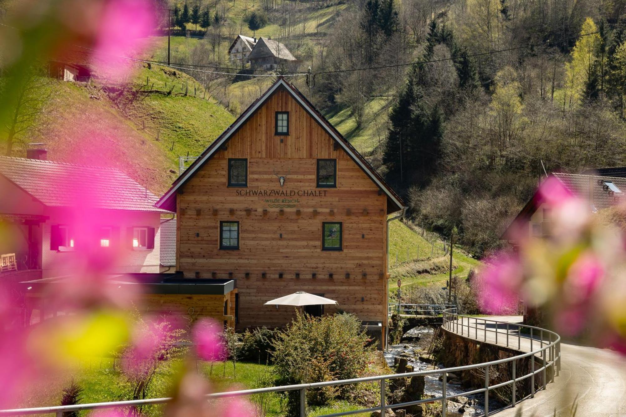 Schwarzwald -wilde Rench- Apartment