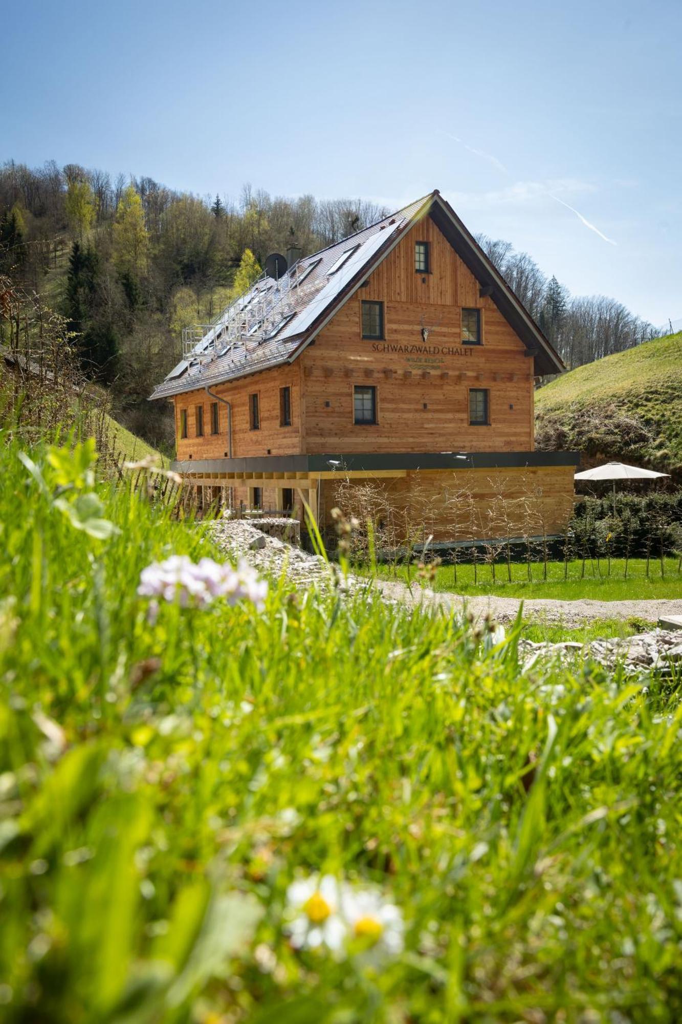 Schwarzwald -wilde Rench-